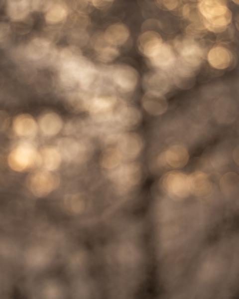 Karácsonyi hangulat