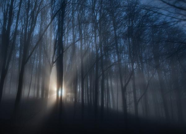 A felkelő nap háza