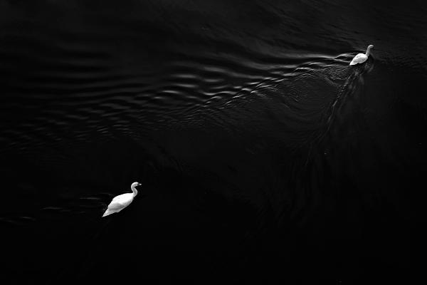 Hullámok és fodrok