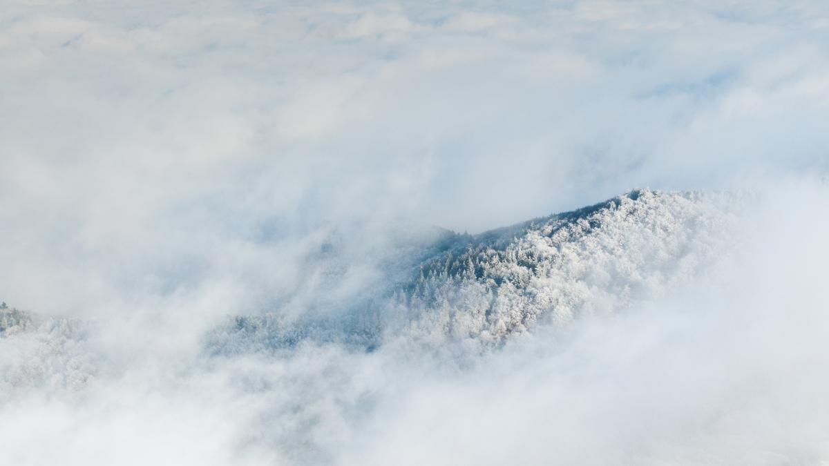Koncz-Bisztricz Tamás