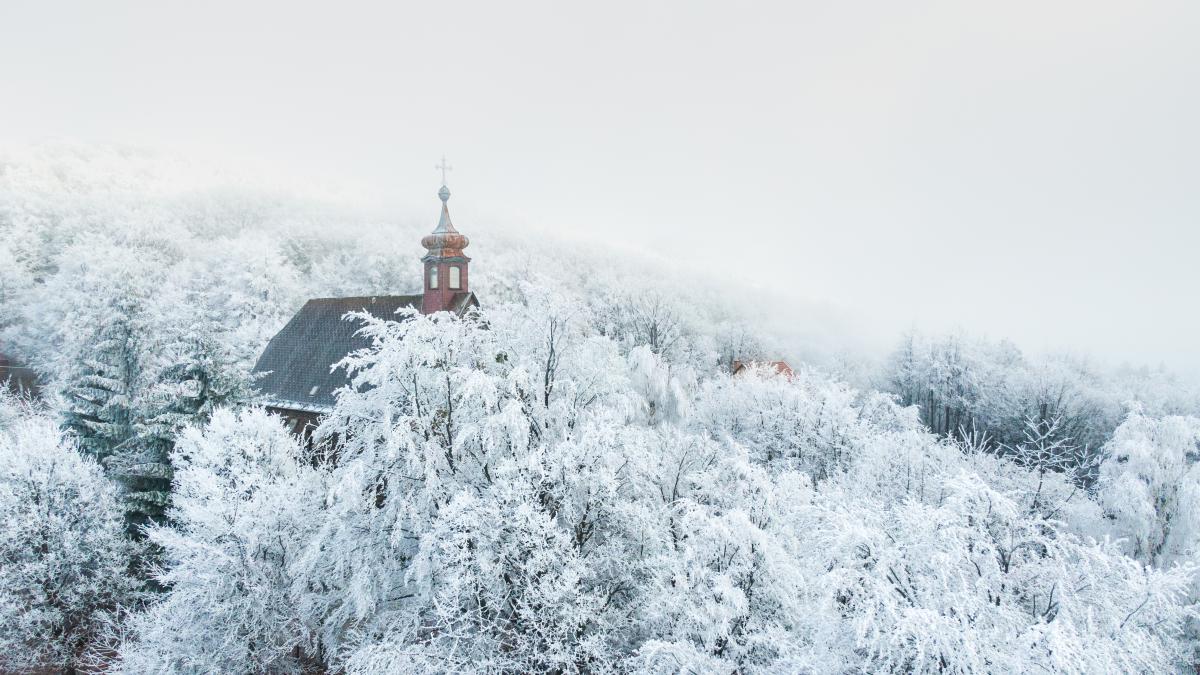 Koncz-Bisztricz Tamás