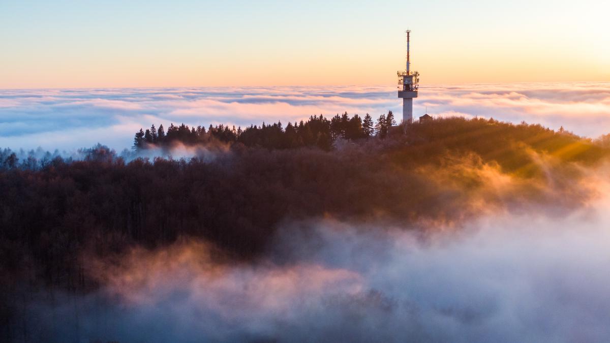 Koncz-Bisztricz Tamás