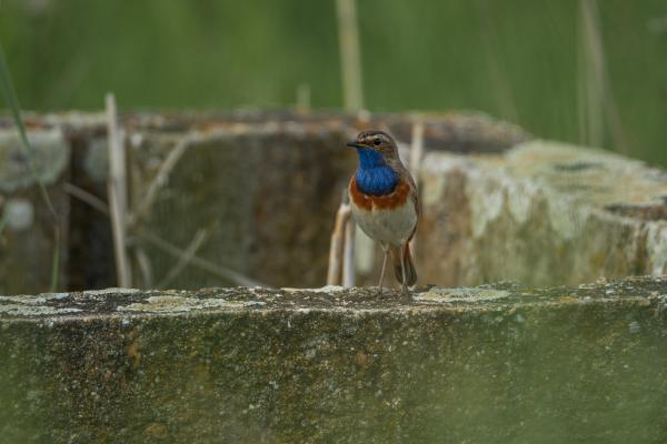 A betontömb széléről perlekedve