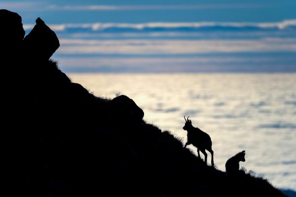 Élet a felhők felett