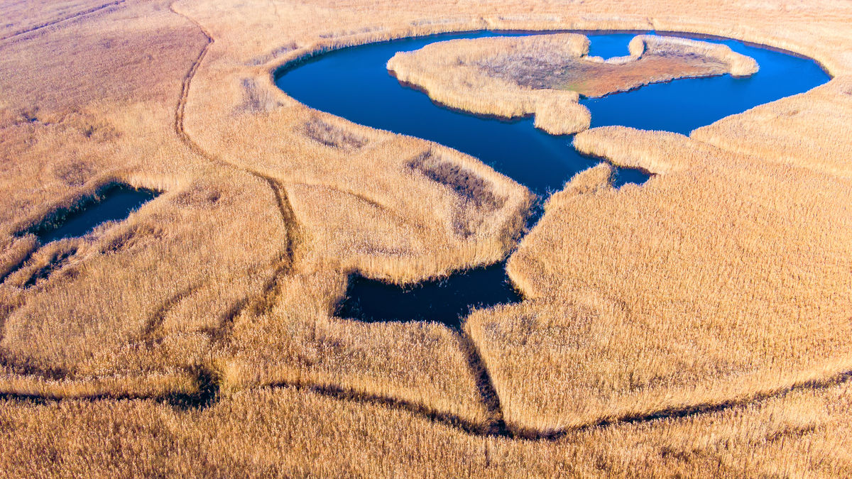 Gaál Zoltán Péter