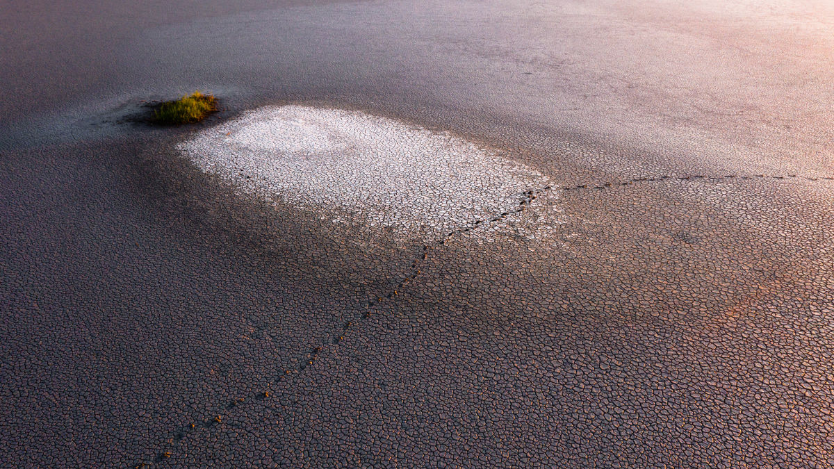 Szakolczai Krisztina