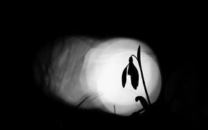 Csillogás Csillogás