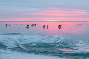 Téli Balaton Téli Balaton