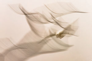 Manőverezés Manőverezés