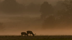 Szeptember Szeptember