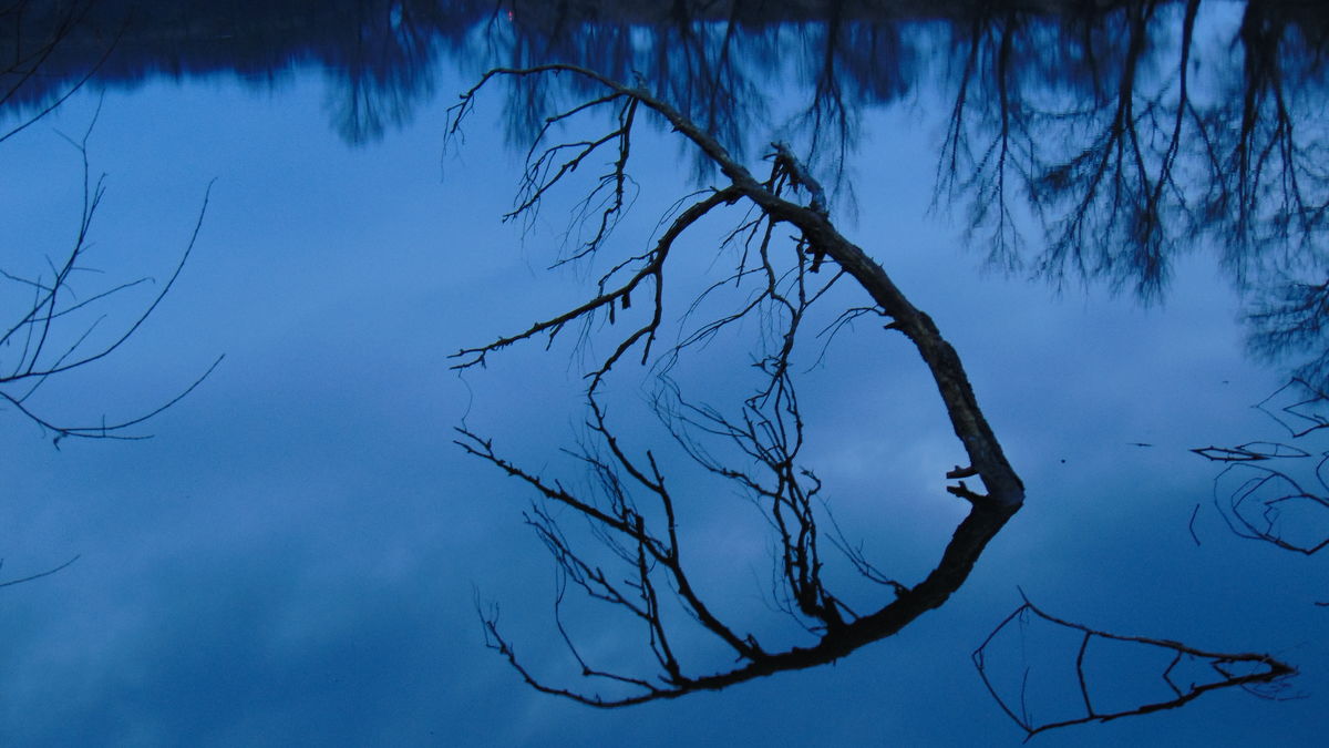 Kónya Máté Bertalan