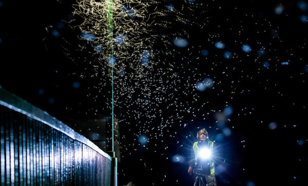 Természetfotós Munkában