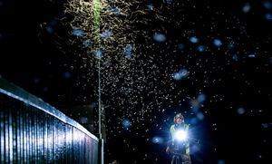 Természetfotós Munkában