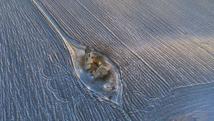 Templom a pusztában Templom a pusztában