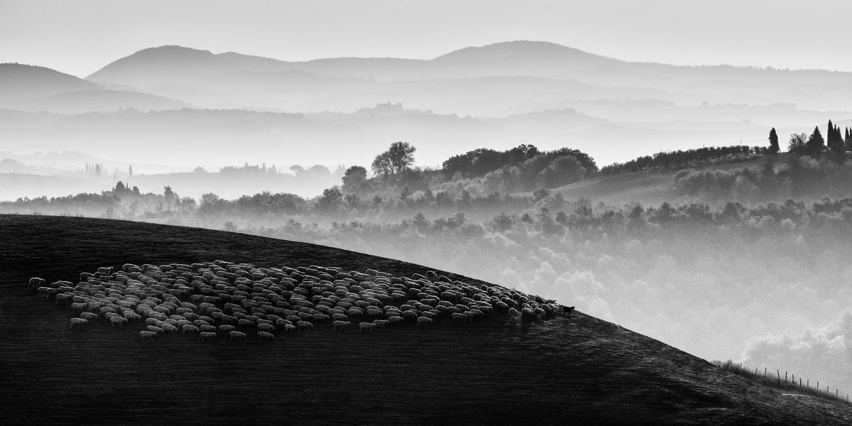 Szakolczai Krisztina