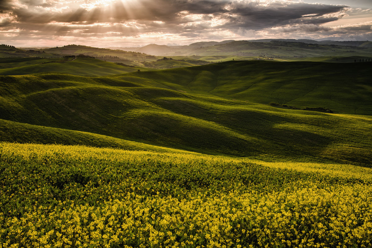 Szakolczai Krisztina