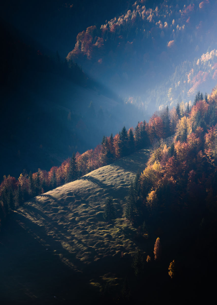 Szakolczai Krisztina