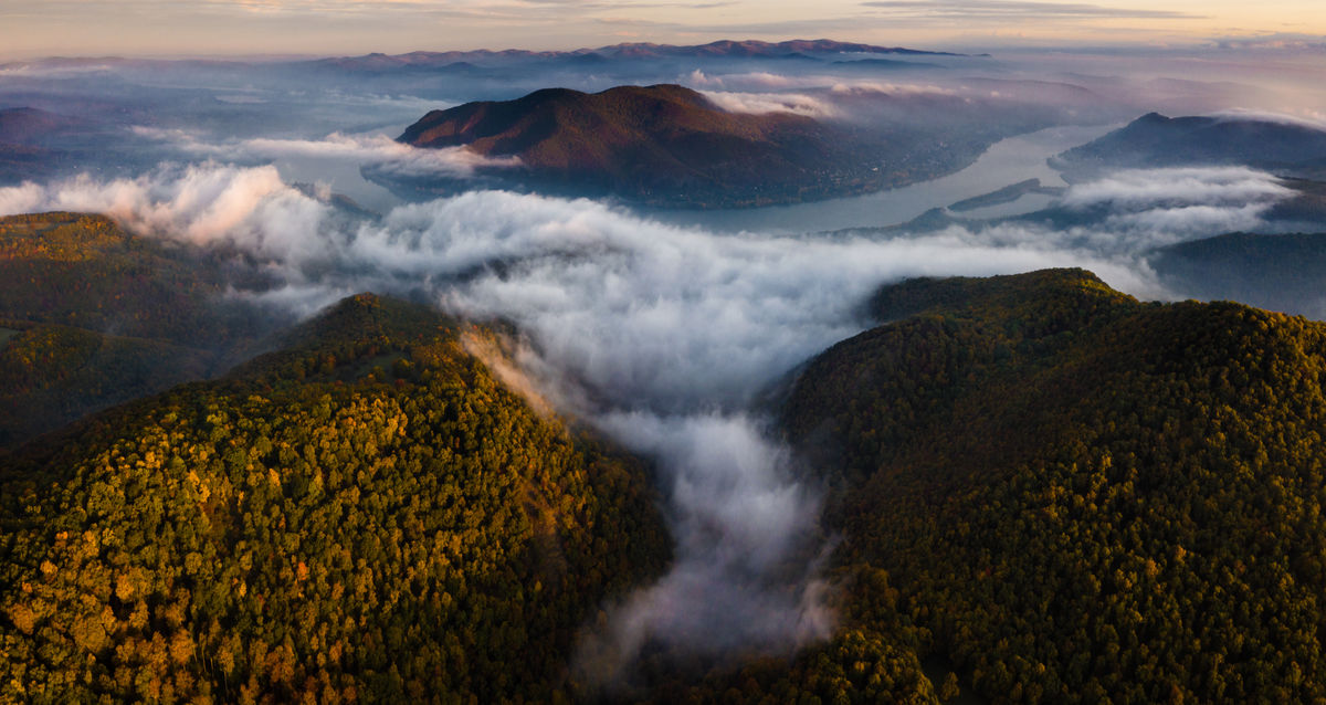 Szakolczai Krisztina