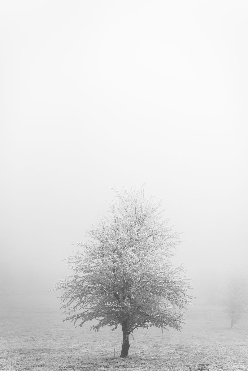 Darányiné Bakos Éva