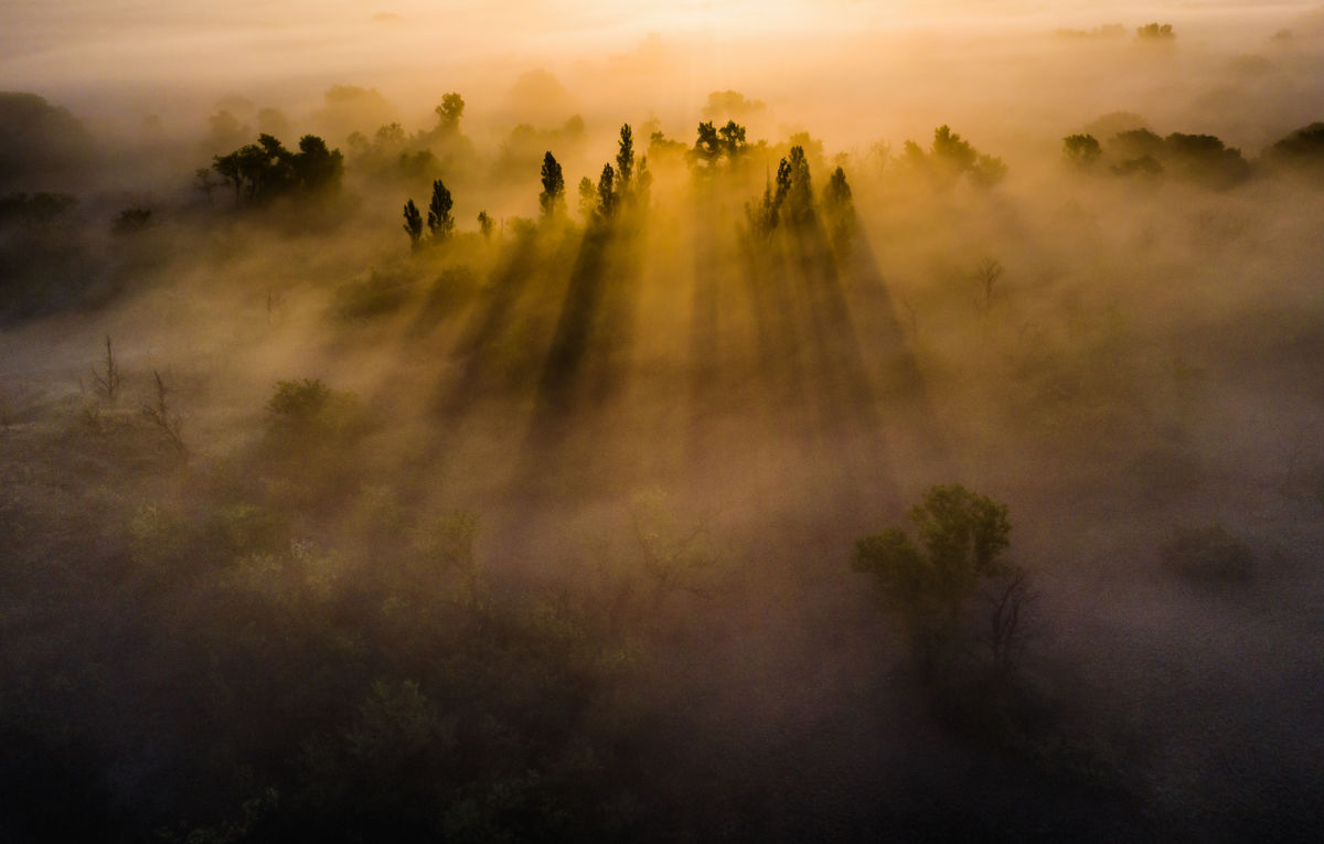Szakolczai Krisztina