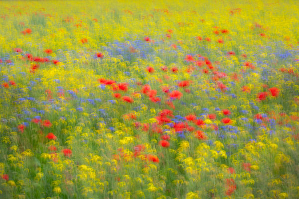 Impresszionisták nyomában