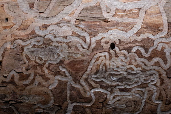 Minden út egy...fekete lyukba vezet?