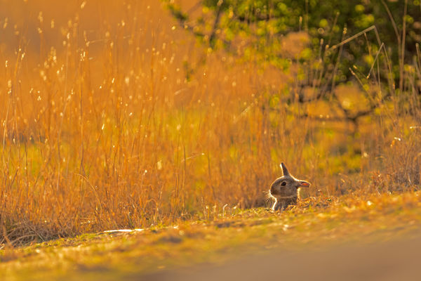 Pillantás a nagyvilágra