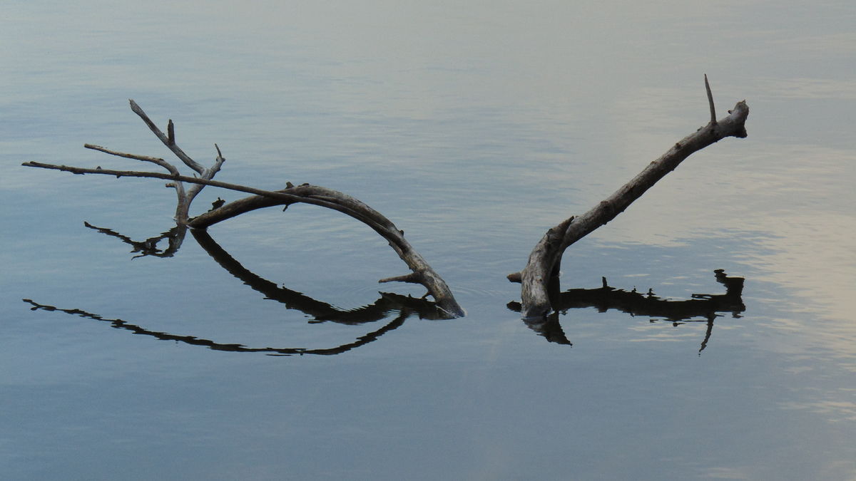 Kónya Máté Bertalan