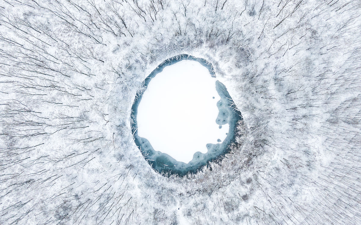 Koncz-Bisztricz Tamás