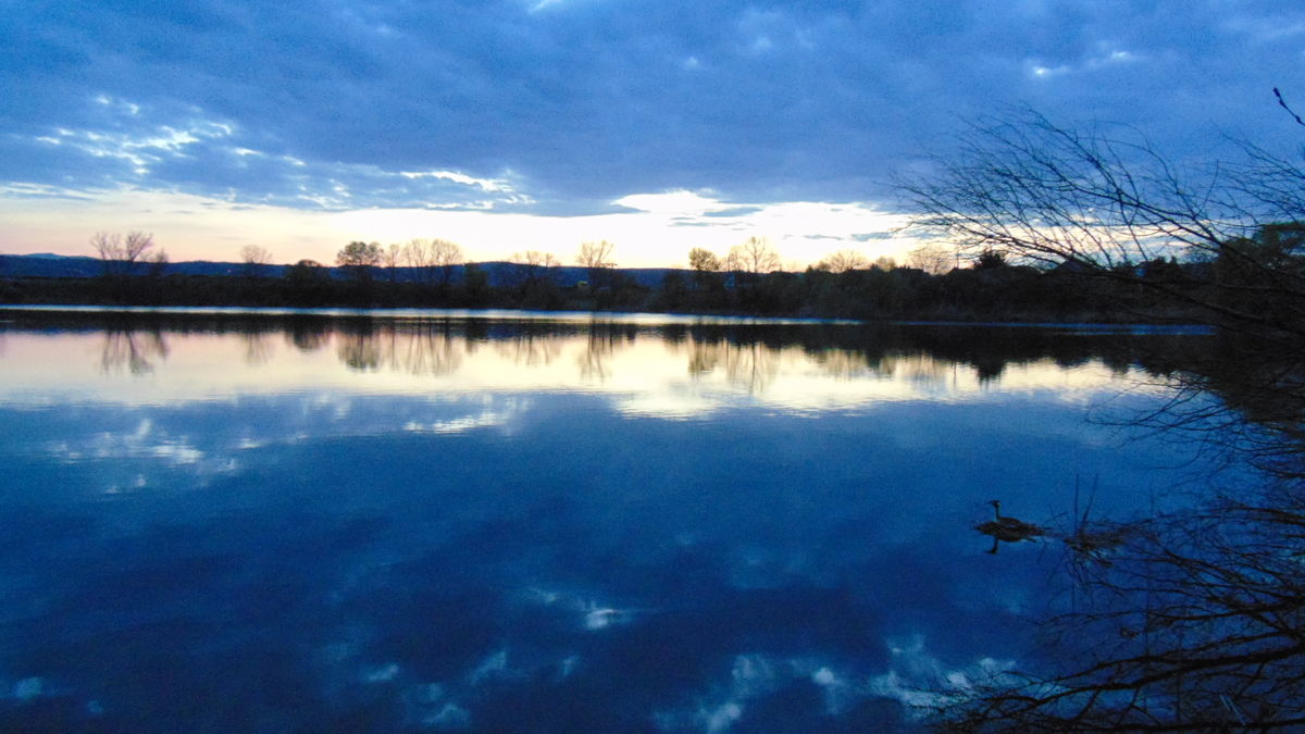 Kónya Máté Bertalan