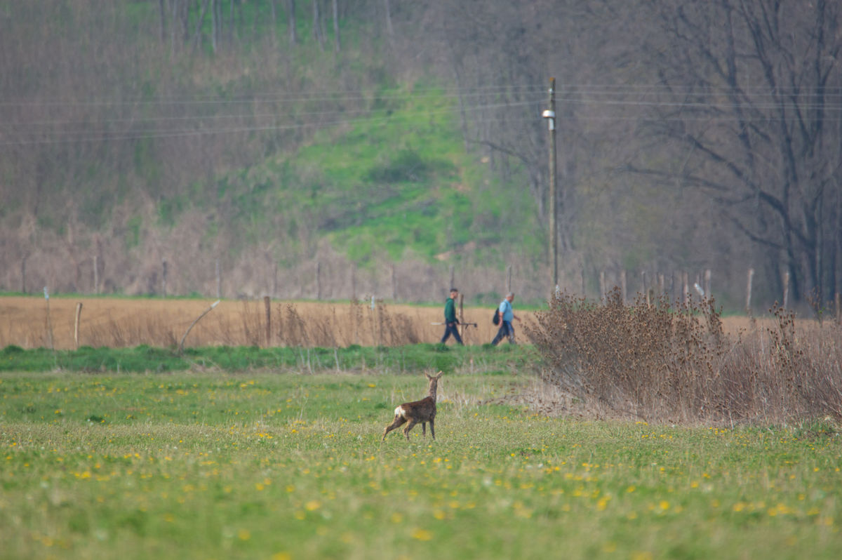 Benke Péter Valentin