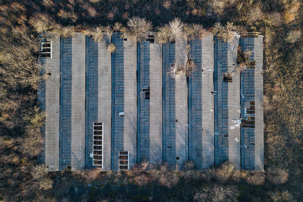 Természet visszaveszi....