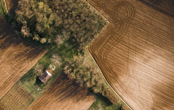 Tavaszi fények és formák