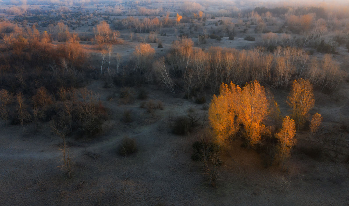Szakolczai Krisztina
