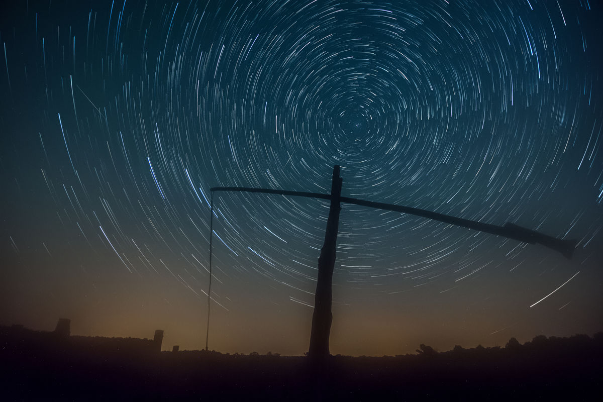 Szakolczai Krisztina