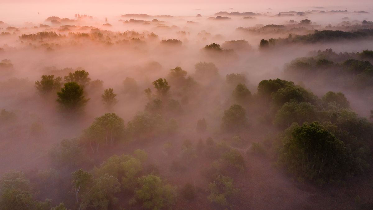 Szakolczai Krisztina