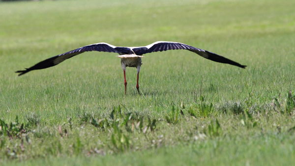 Felszállási engedély megadva