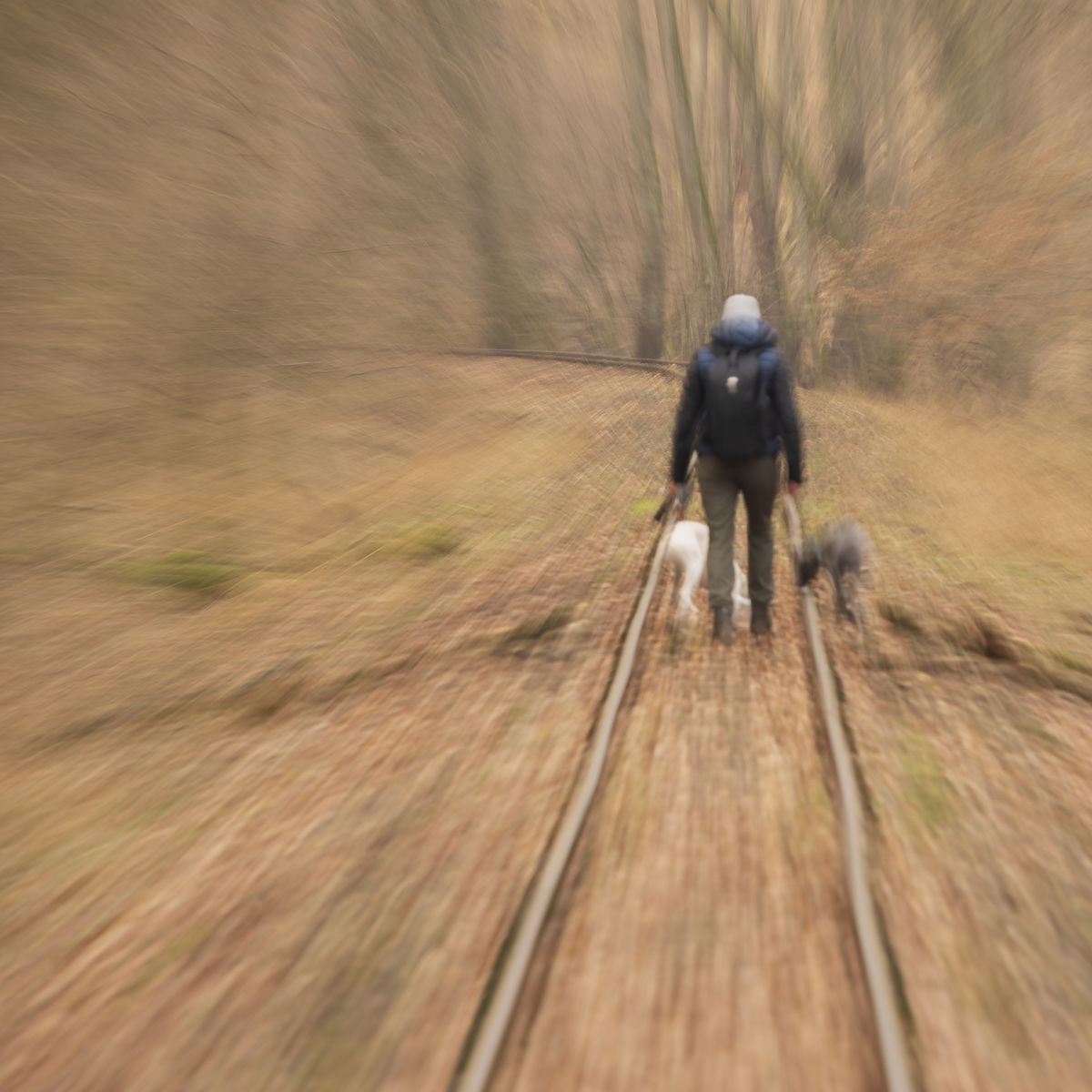 Szentkirályi Ádám