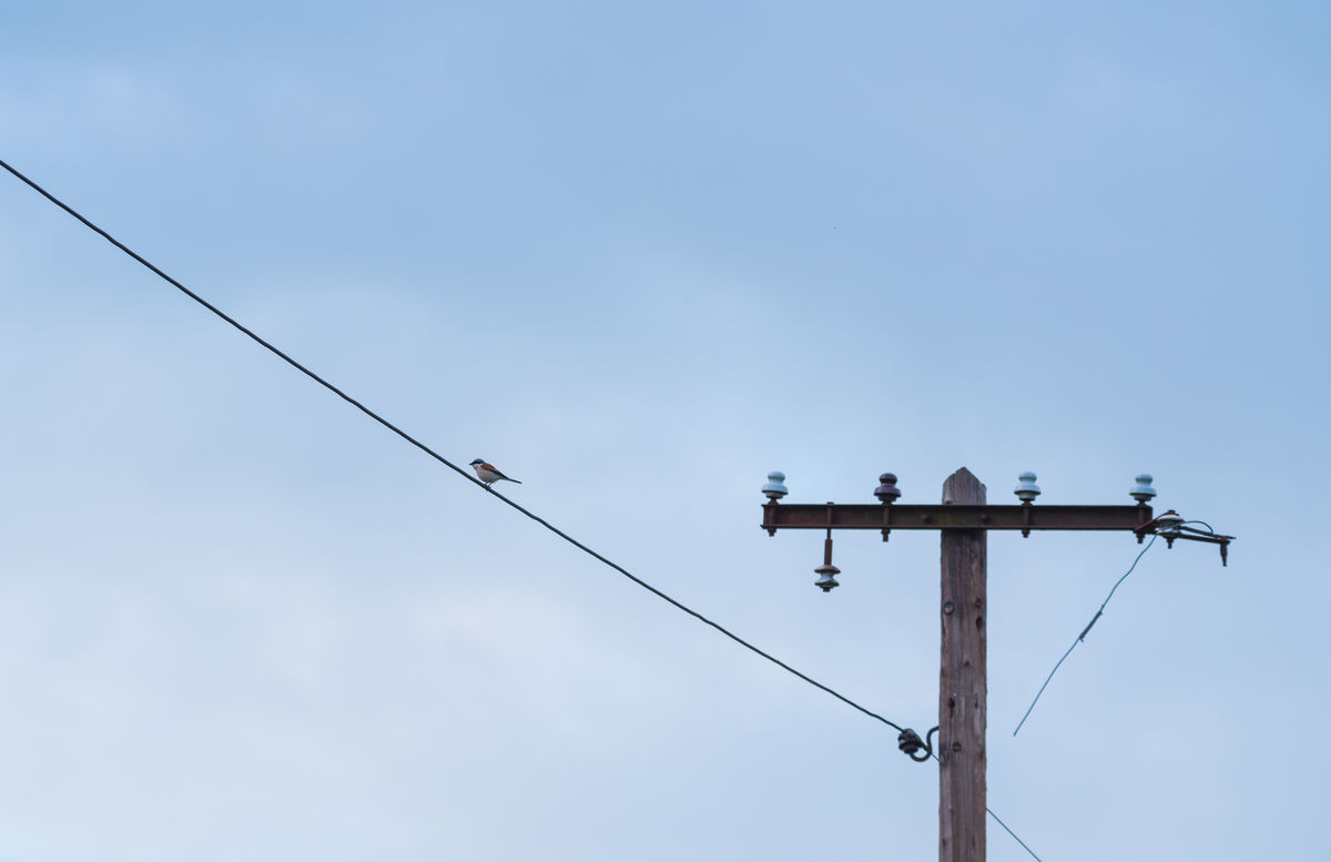 Benke Péter Valentin