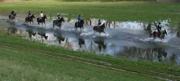 Harmóniában a természettel -