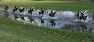 Harmóniában a természettel -