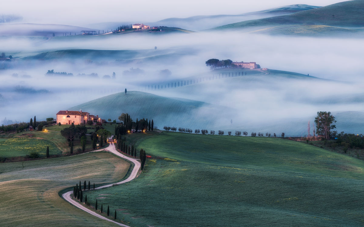 Szakolczai Krisztina