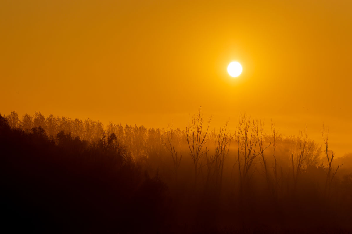 Benke Péter Valentin