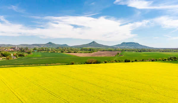 Tanúhegyek repcével