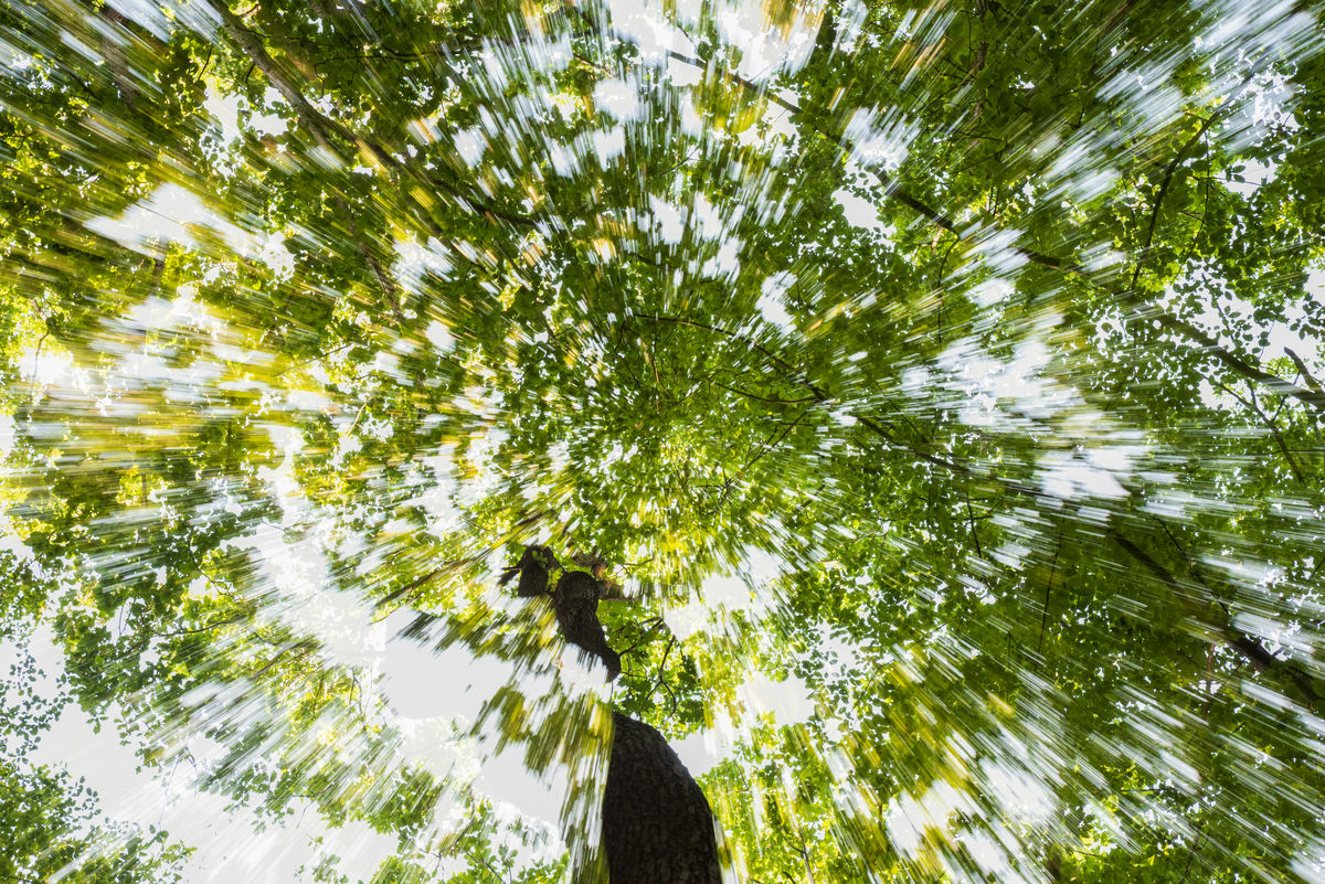 Benke Péter Valentin