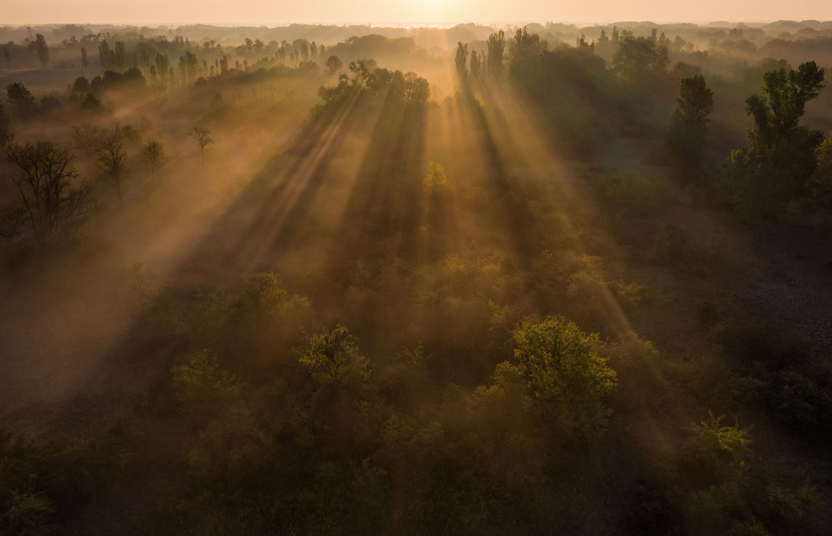 Szakolczai Krisztina