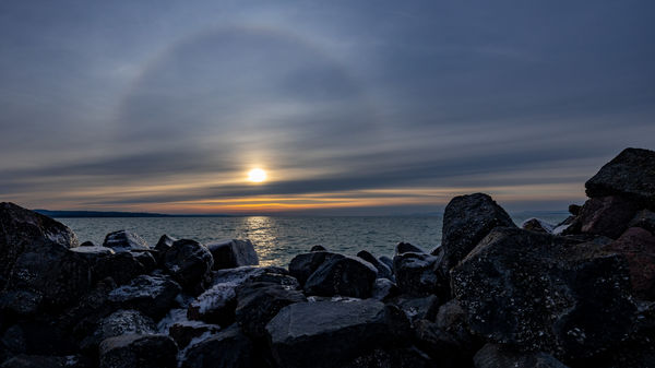 Jeges, kagylós halo a Balatonon