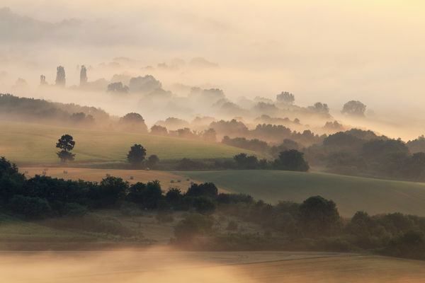 Nyári nagy esők után