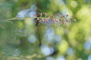 A Gerecse ékszere A Gerecse ékszere