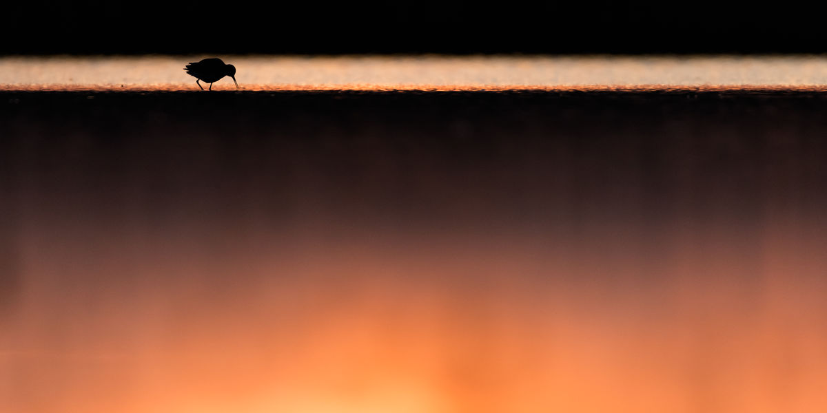 Szakolczai Krisztina